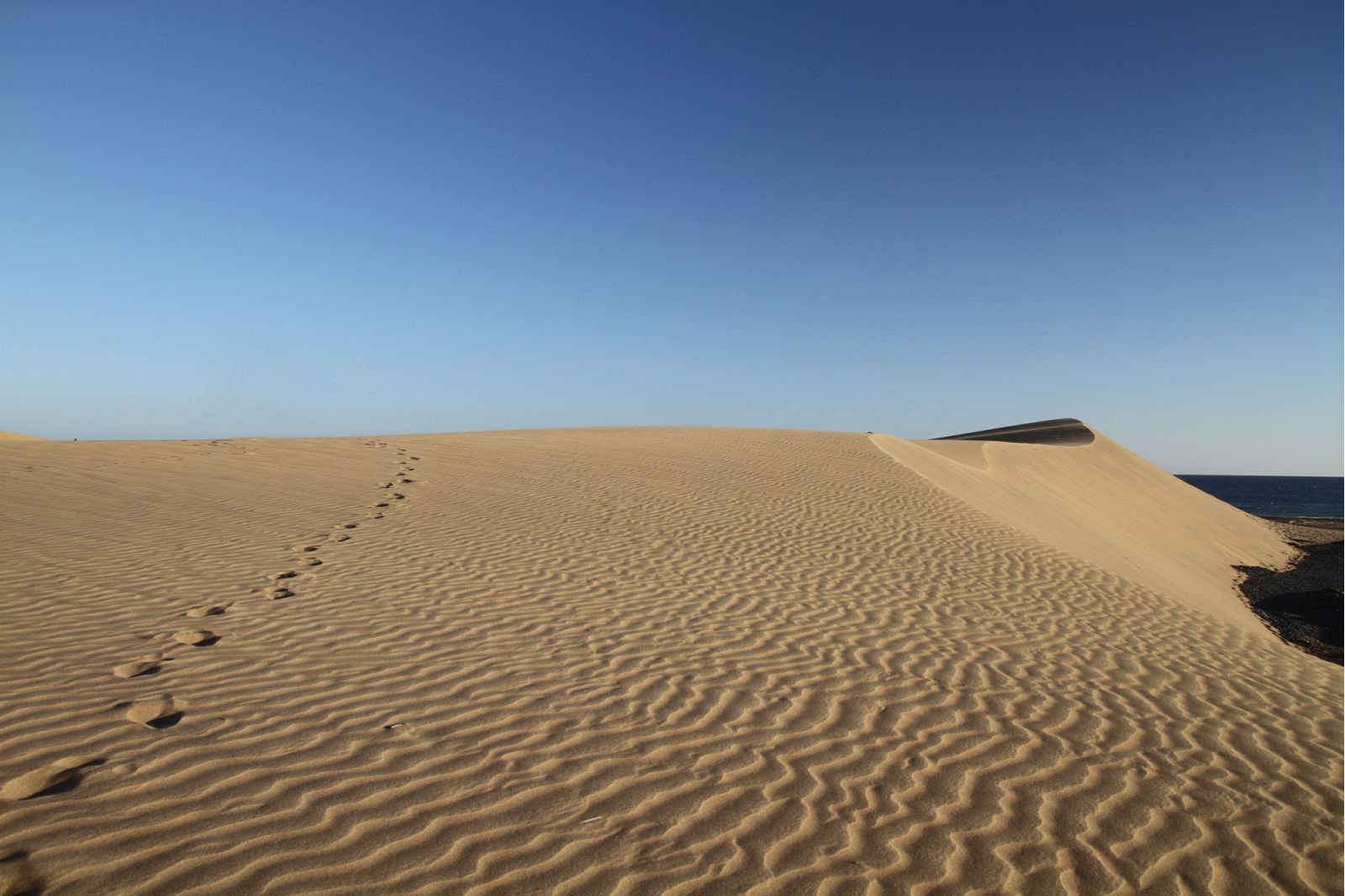 Message De Carême De Mgr Robert Wattebled évêque De Nîmes Diocèse De